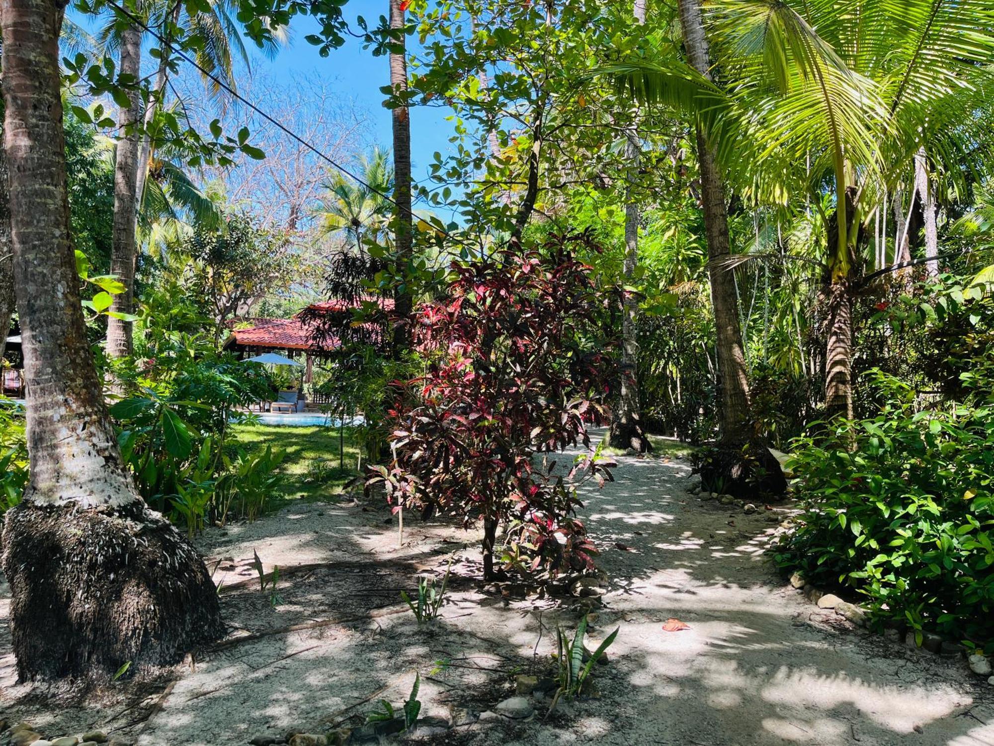 Cabuya  Calala Lodge מראה חיצוני תמונה
