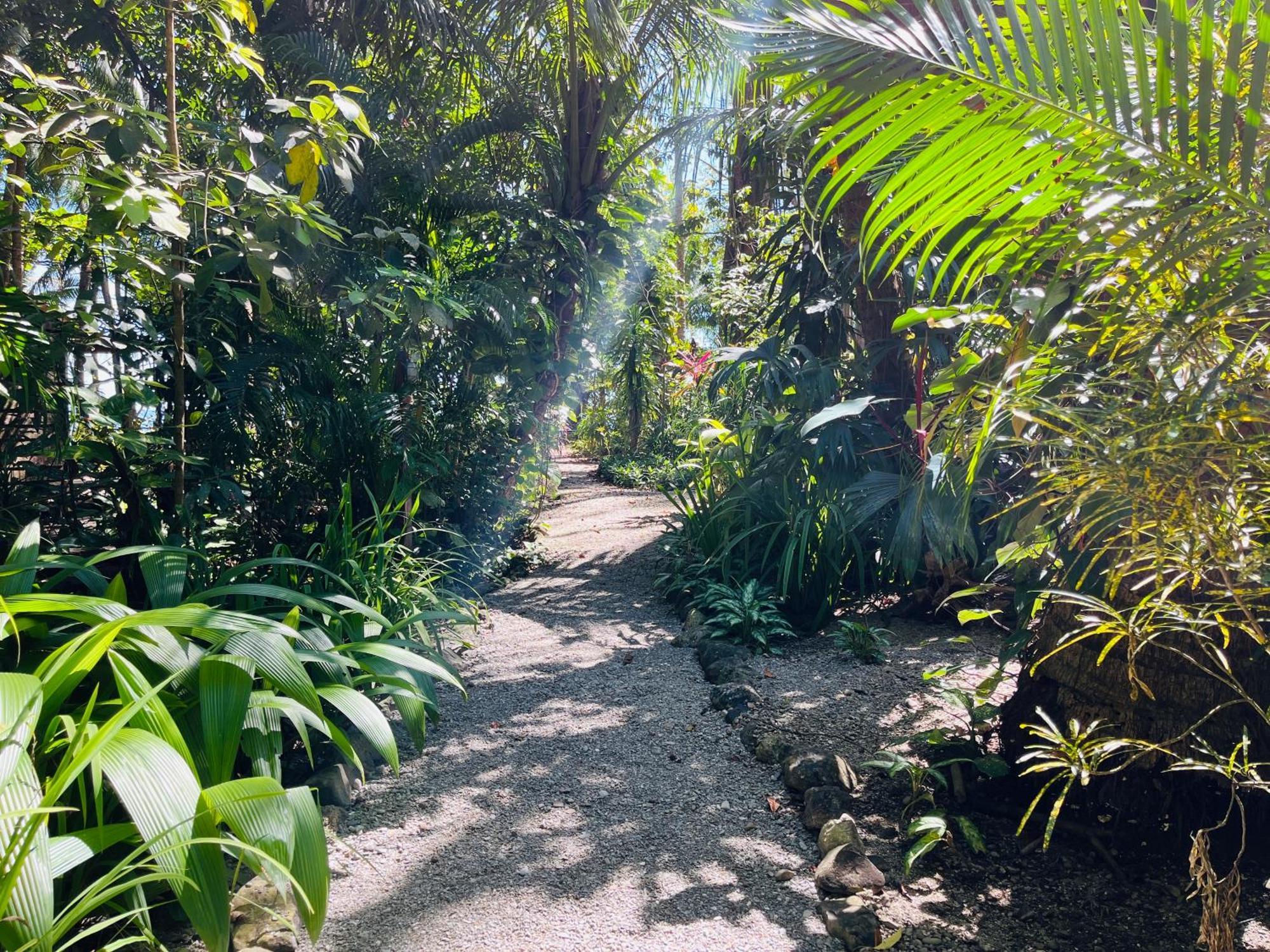 Cabuya  Calala Lodge מראה חיצוני תמונה