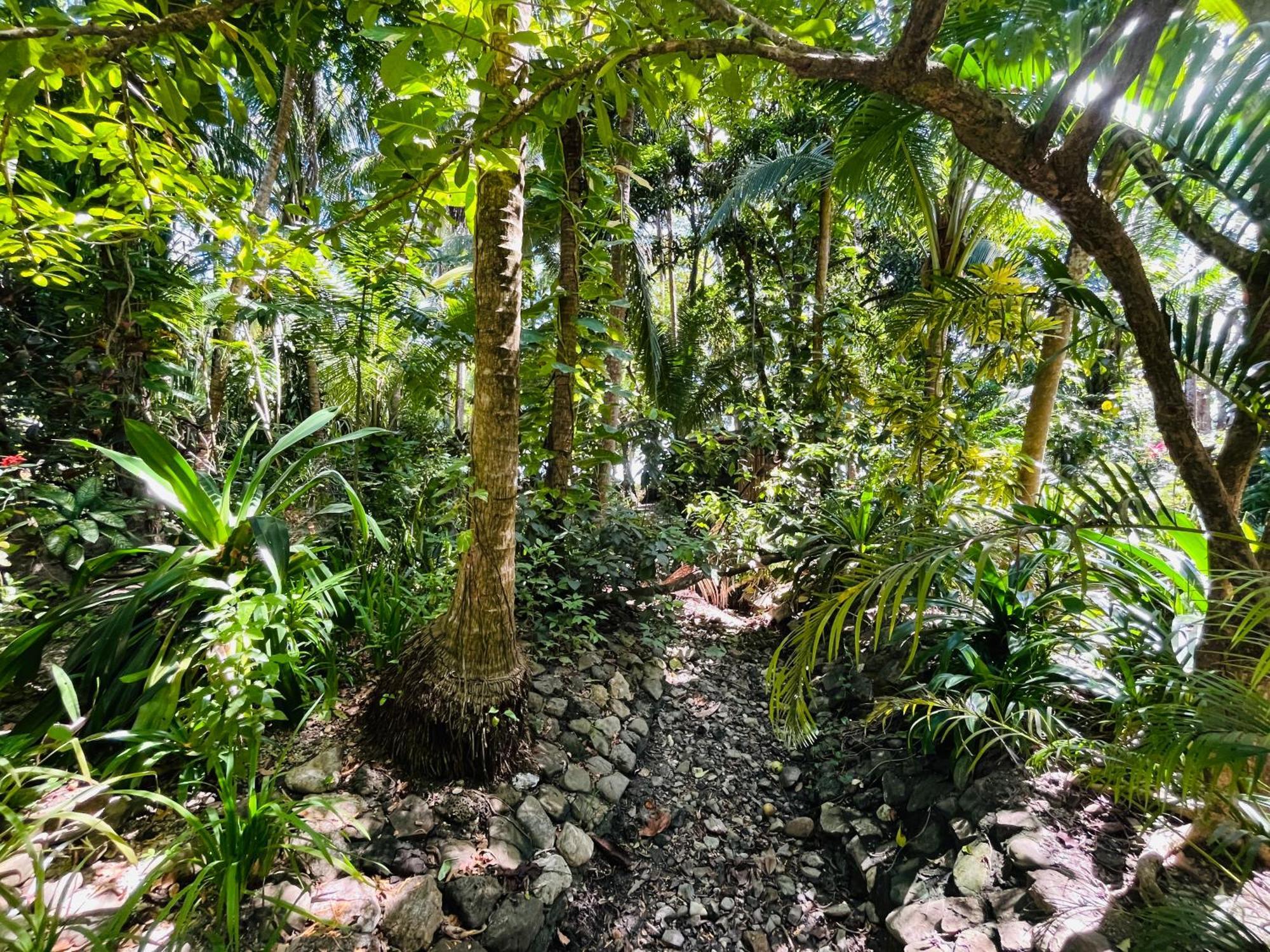 Cabuya  Calala Lodge מראה חיצוני תמונה
