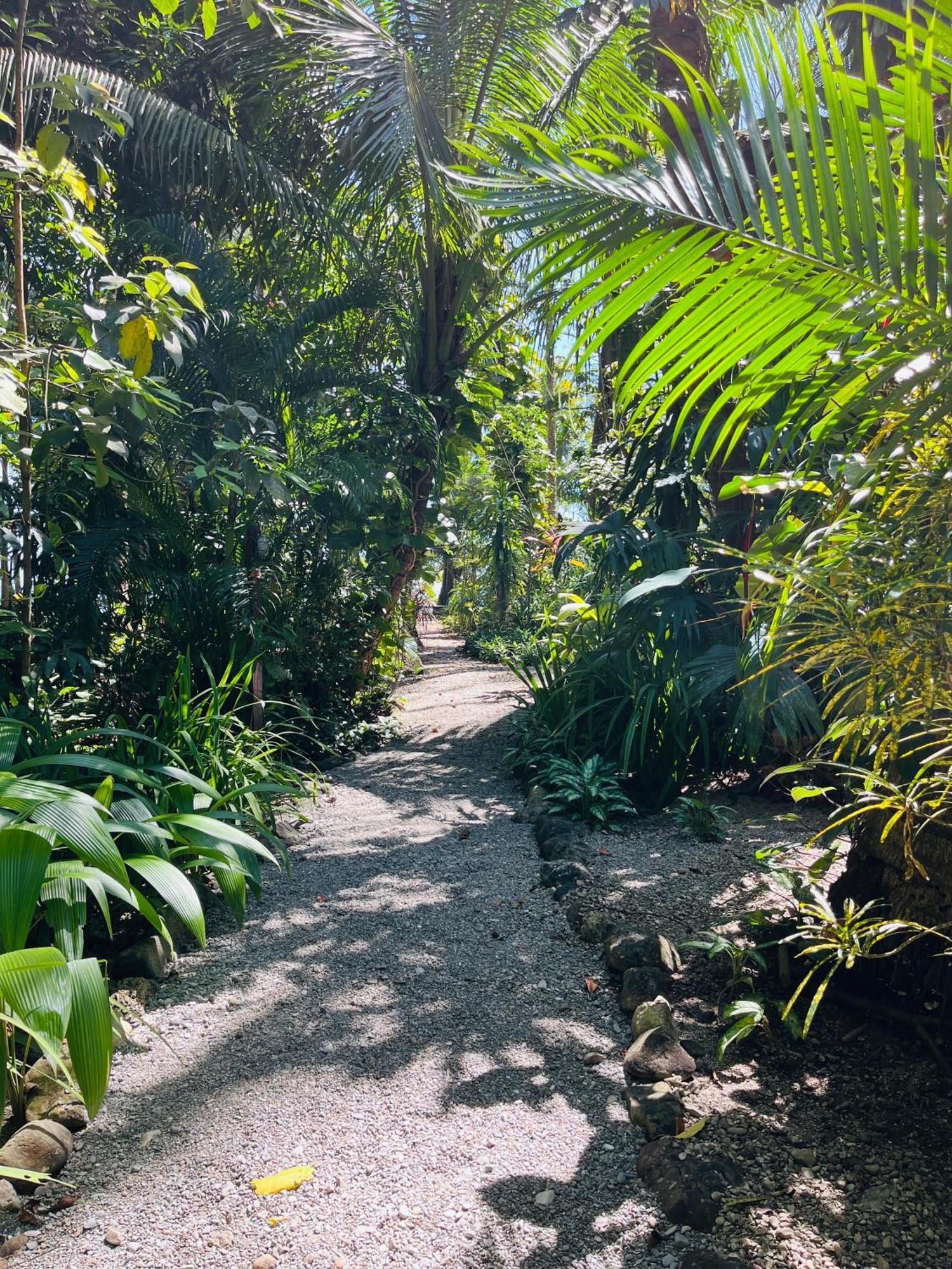 Cabuya  Calala Lodge מראה חיצוני תמונה